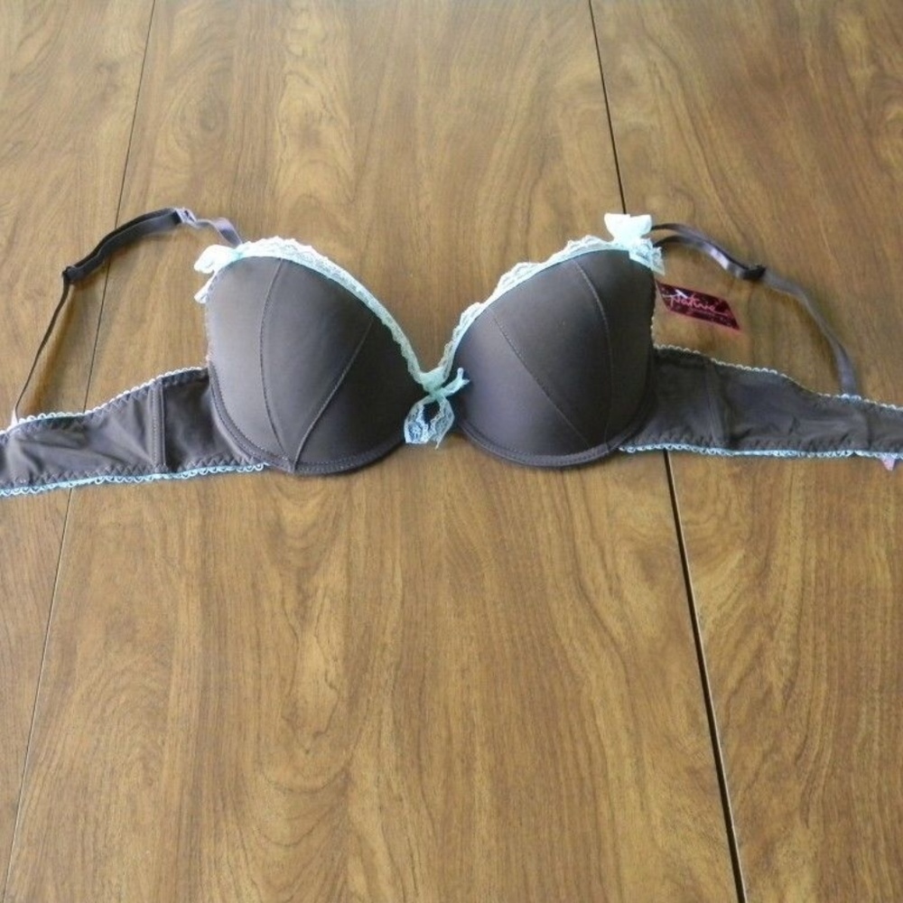 Native Intimates 36B Brown w/ Light Blue Trim Bra